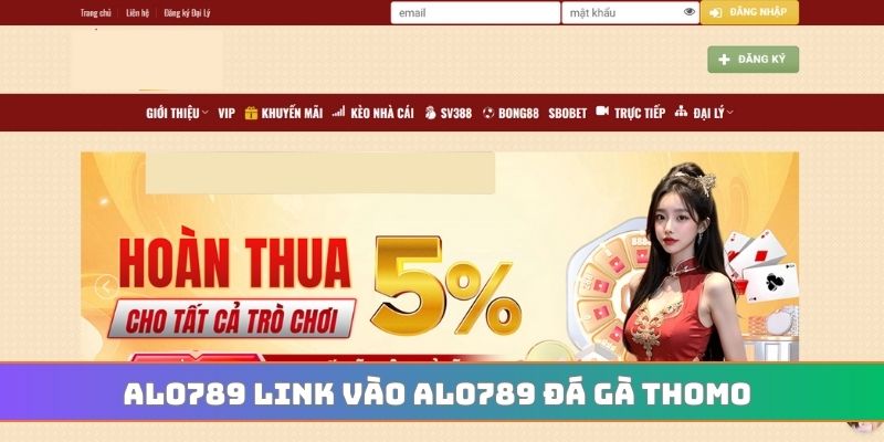 ALO789 link vào ALO789 đá gà Thomo