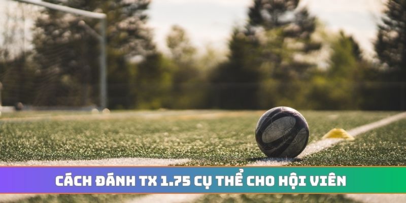 Cách đánh tx 1.75 cụ thể cho hội viên