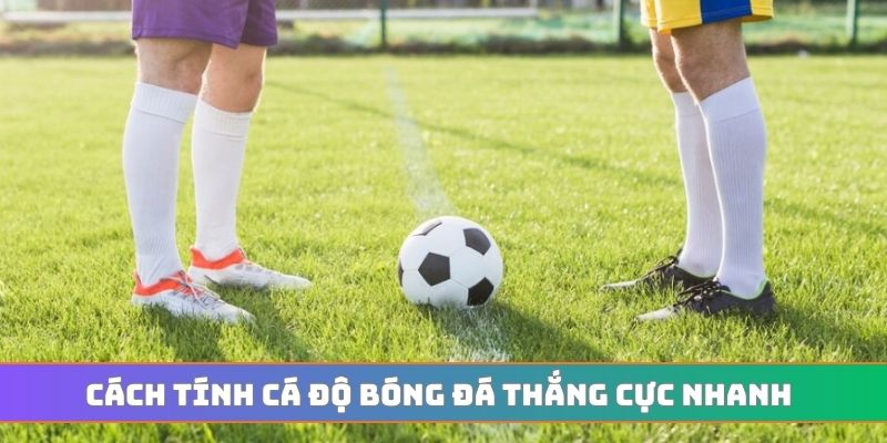 Cách tính cá độ bóng đá thắng cực nhanh