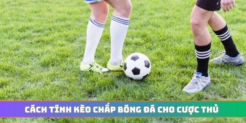 Cách tính kèo chấp bóng đá cho cược thủ