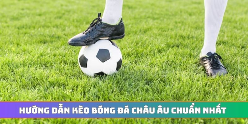 Hướng dẫn kèo bóng đá châu Âu chuẩn nhất