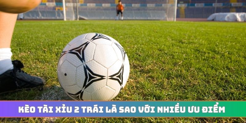 Kèo tài xỉu 2 trái là sao với nhiều ưu điểm