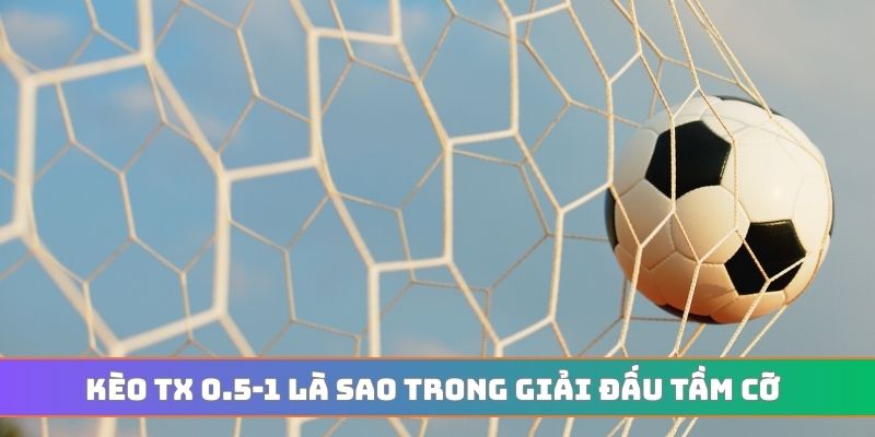 Tài xỉu 0.5-1 là gì