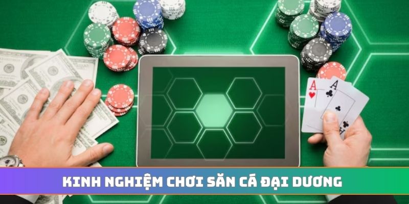 Kinh nghiệm chơi săn cá đại dương