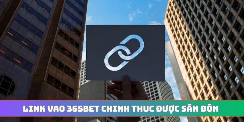 Link vao 365BET chinh thuc được săn đón