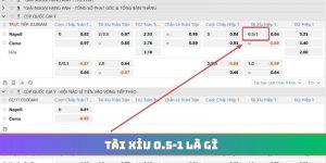 tài xỉu 0.5-1 là gì