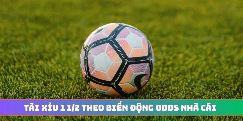 Tài xỉu 1 1/2 theo biến động odds nhà cái