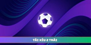 Tài xỉu 2 trái
