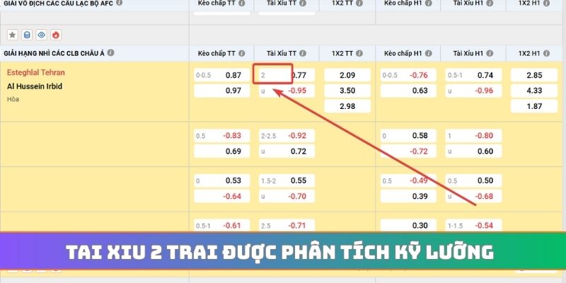 Tai xiu 2 trai được phân tích kỹ lưỡng