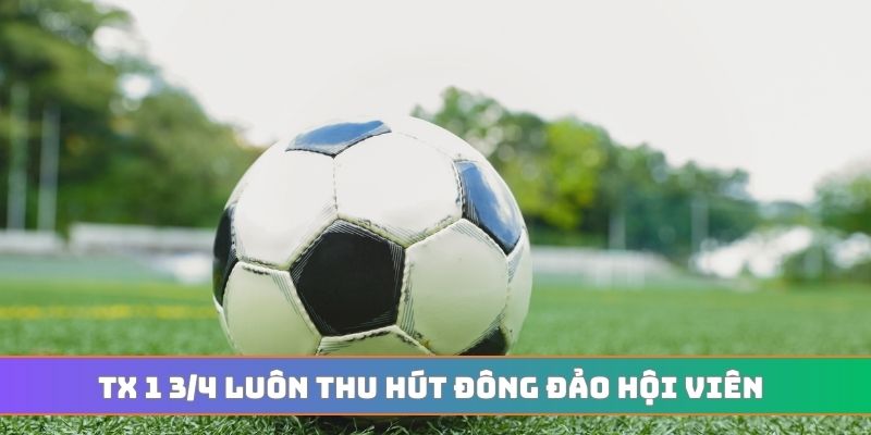 Tx 1 3/4 luôn thu hút đông đảo hội viên